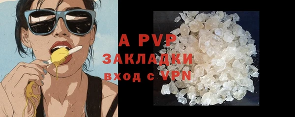 стаф Абаза