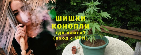 стаф Абаза