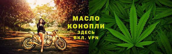 стаф Абаза