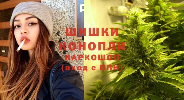 стаф Абаза