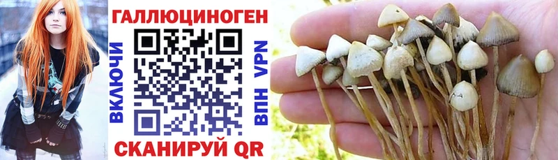 хочу наркоту  Ак-Довурак  Галлюциногенные грибы мухоморы 